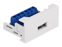 Bild von DELOCK Easy 45 Modul USB 2.0 Typ-A Buchse zu Terminalblock 22,5x45mm