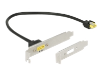 Bild von DELOCK Slotblech SATA 6 Gb/s Buchse intern > SATA Stecker Pin 8 Power extern 30 cm