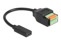 Bild von DELOCK USB 2.0 Kabel USB Type-C™ Buchse zu Terminalblock Adapter mit Drucktaster 15 cm