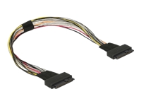 Bild von DELOCK Kabel U.2 SFF-8639 Buchse > U.2 SFF-8639 Buchse 50 cm