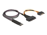 Bild von DELOCK M.2 Key M zu U.2 SFF-8639 NVMe Adapter mit 50cm Kabel