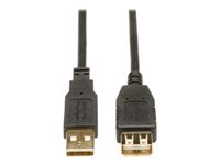 Bild von EATON TRIPPLITE USB 2.0 Extension Cable A M/F 6ft. 1,83m