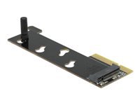 Bild von DELOCK PCI Express x4 Karte zu 1 x NVMe M.2 Key M für Server mit Kühlkörper