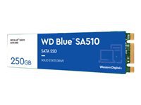 Bild von WD Blue SA510 SSD 250GB M.2 2280 SATA III 6Gb/s internal single-packed