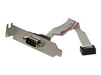 Bild von STARTECH.COM 9-pin seriell Stecker auf 10-pin Mainboard Header LP Slotblech