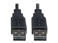 Bild von EATON TRIPPLITE Universal Reversible USB 2.0 Cable Reversible A to Reversible A M/M 6ft. 1,83m