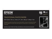 Bild von EPSON S045054 Traditional Foto Papier inkjet 330g/m2 432mm x 15m 1 Rolle 1er-Pack