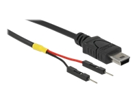 Bild von DELOCK USB Stromkabel mini-B auf 2 x Pfostenstecker einzeln Strom 10cm