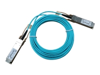HPE HPN X2A0 Active Optical Cable, 100Gbit/s, QSFP28 to QSFP28, 7m
