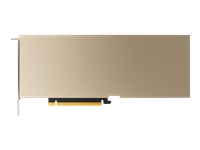 Bild von PNY NVIDIA A10 Module 24GB GDDR6 ECC