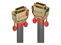 Bild von LINDY Gold DVI-D Dual Link Cablel Gold Line DVI-D Dual Link Male an Male