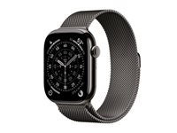 APPLE WATCH SERIES 11�GPS + CELLULAR 46MM�SLATE TITANIUM CASE WITH SLATE MILANESE LOOP - M/L