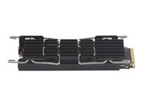 HP Z Turbo 1TB PCIe TLC Kit SSD