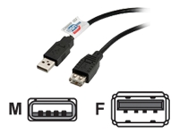 Bild von ROLINE USB 2.0 Cable Type A M/F 0.8m