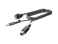 HP 300cm DP+Y CABLE L701xt