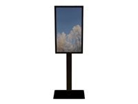 HI-ND Floorstand portrait for Samsung QM55R glass decor casing Black