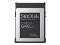 SANDISK PRO-CINEMA CFexpress 640GB