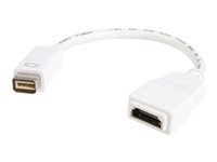 Bild von STARTECH.COM Mini DVI auf HDMI-Adapter Kabel - Mini DVI (Stecker) (32 pin) zu HDMI (Buchse)  (19 pin) - für MacBooks und iMacs