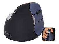 Bild von EVOLUENT Vertical Mouse 4 Wireless Rechte Hand  Ergonomische Maus Ergonomie PC Zubehoer