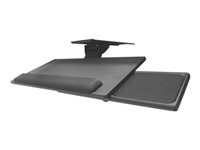 Bild von LINDY Duale feste Display-Halterung mit Mast