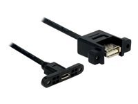 Bild von DELOCK Kabel USB 3.0 A Buchse > USB 3.0 A Buchse zum Einbau 0,25 m