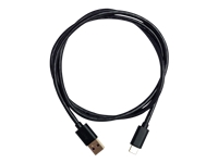 Bild von QNAP CAB-U310G10MAC USB 3.2 Gen2 10G 1,0m 3,3ft Kabel vom Typ A zum Typ C