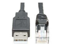 Bild von EATON TRIPPLITE USB-A to RJ45 Rollover Console Cable M/M - Cisco Compatible 250 Kbps 10ft. 3,05m Black