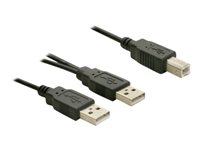 Bild von DELOCK Kabel USB 2.0 B - > USB-A Power + Power / Data