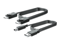 Bild von HP 300cm DP+USB B-A CABLES