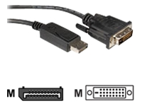 Bild von ROLINE DisplayPort Kabel ST/DVI ST 2m