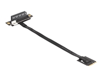 Bild von DELOCK M.2 Key A+E zu PCIe x4 NVMe Adapter gewinkelt mit 20cm Kabel