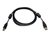 Bild von EATON TRIPPLITE USB 2.0 A/B Cable with Ferrite Chokes M/M 6ft. 1,83m