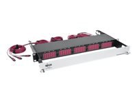 Bild von EATON TRIPPLITE 40/100Gb Fiber Breakout Patch Panel 40Gb to 4x10Gb 100Gb to 4x25Gb OM4 50/125 Ports