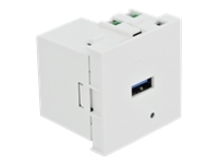 Bild von DELOCK Easy 45 USB Ladeportmodul 1xUSB Typ-A