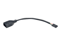 Bild von EATON TRIPPLITE USB 2.0 A Female to USB Motherboard 4-PIN IDC Header Cable 6in. 15,24cm