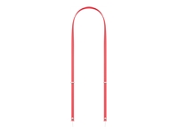 Bild von APPLE Crossbody Strap - Bright Guava