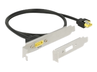 Bild von DELOCK Slotblech SATA 6 Gb/s Buchse intern > SATA Stecker Pin 8 Power extern 60 cm