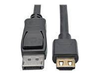 Bild von EATON TRIPPLITE DisplayPort 1.2 to HDMI Active Adapter Cable M/M 4K 60 Gripping HDMI Plug HDCP 2.2 20ft. 6,1m