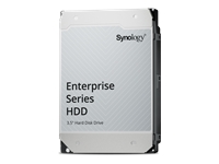Bild von SYNOLOGY HAT5320-8T 8TB SATA HDD