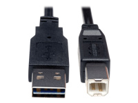 Bild von EATON TRIPPLITE Universal Reversible USB 2.0 Cable Reversible A to B M/M 10ft. 3,05m