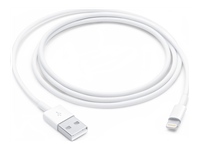 Bild von APPLE Lightning to USB Cable 1m