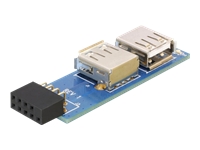 Bild von DELOCK MBz USB Pinheader Bu > 2x USB2.0-A Bu