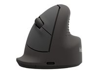FELLOWES Souris verticale ergonomique BREYTA - Moyenne droite