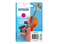 EPSON Singlepack Magenta, 250XL ink