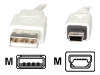 Bild von VALUE USB 2.0 Cable TypeA-5Pin mini 1.8m