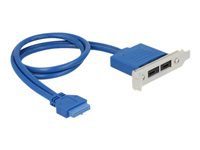 Bild von DELOCK Slotblech 1 x 19 Pin USB 3.1 Pfostenbuchse intern > 2 x USB Type-C Buchse extern Low Profile