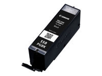 Bild von CANON PGI-550 PGBK Tinte schwarz Standardkapazität 300 Seiten 1er-Pack