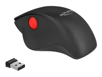 Bild von DELOCK Ergonomische USB Maus - kabellos