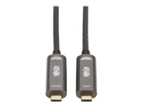 Bild von EATON TRIPPLITE USB-C AOC Cable M/M - USB 3.2 Gen 2 10 Gbps Plenum-Rated Fiber Active Optical Cable Black 15m