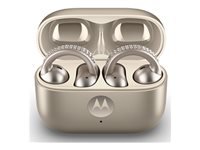 MOTOROLA Loop French Oak